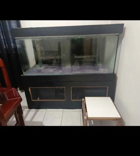 Aquário 500 litros