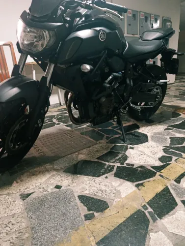 Para quem quer um cavalo selvagem 