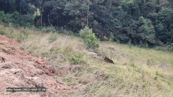 Terreno 3.500m² em Delfim Moreira-MG