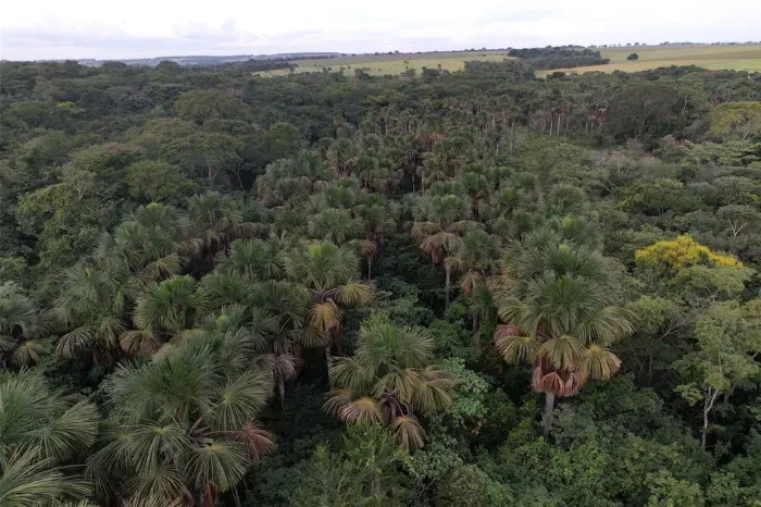 Oportunidade venda Terra Bela Vista Go