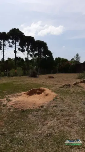 Velleda oferece fantástico sítio com casa em condomínio fechado, Águas Claras
