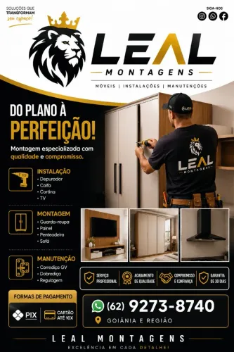 Montador/ Instalação Tv.