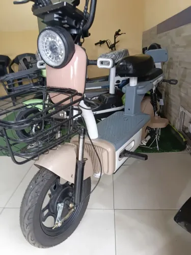 Bicicleta elétrica 600w entregamos