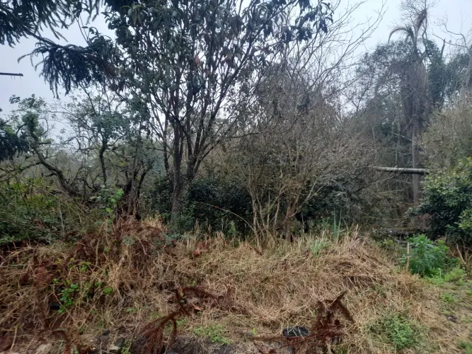 Excelente Terreno em Balsa Nova