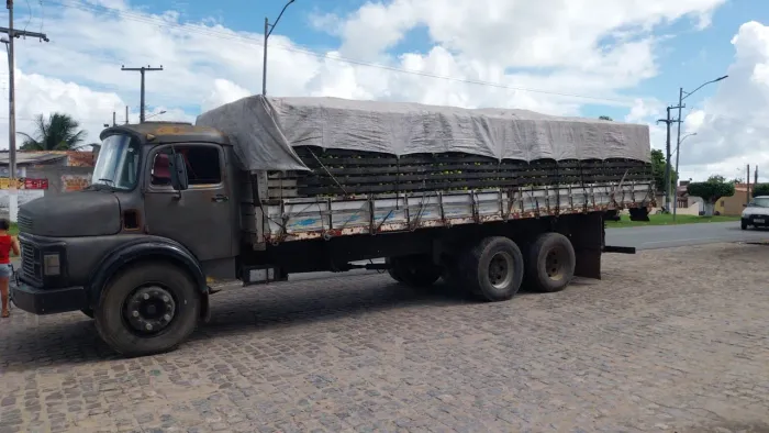Caminhão 1113 motor 366