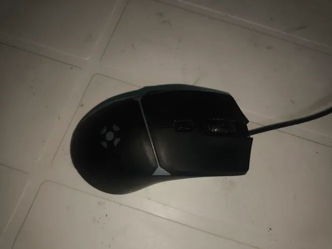Mouse