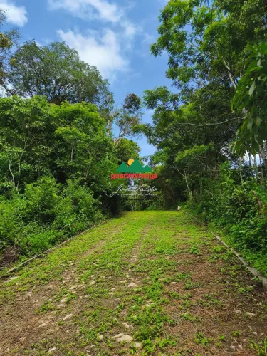 Gleba a venda com 859,39m² com energia e sinal de celular, pagamentos facilitado
