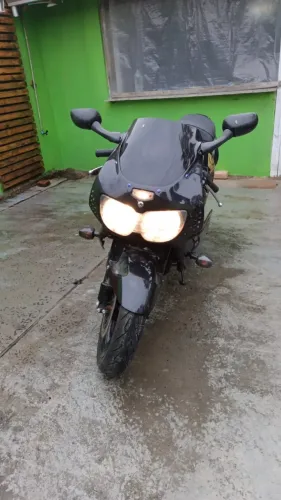 Torro