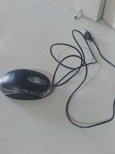 Mouse