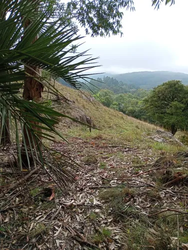 terreno no centro de Barão do Triunfo