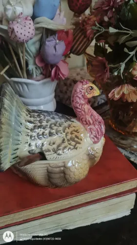 Pavão ? em porcelana antiga