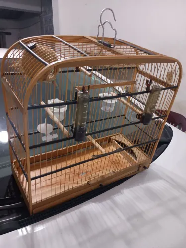 Animais e acessórios 