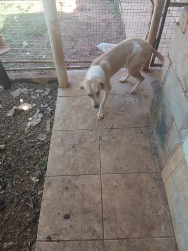 DOANDO