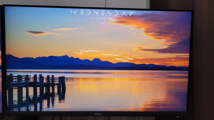 Monitor dell