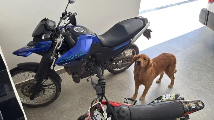 Lander 250 cc novinha