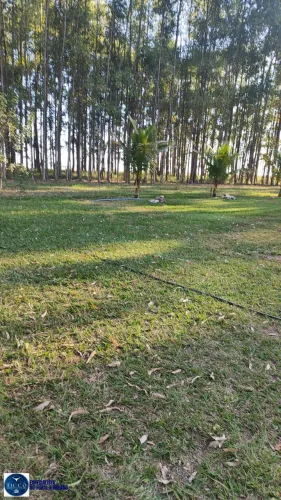 Fazenda à Venda | 93 Alqueires | Bom Jardim de Goiás - GO