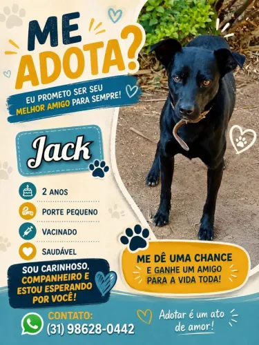 Adoção Responsável