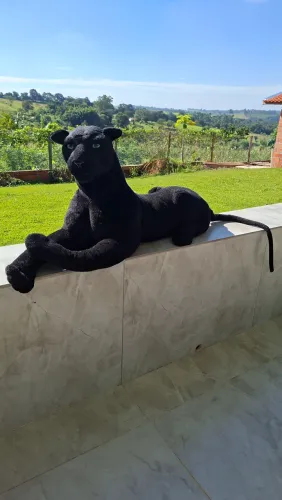 ? PANTERA NEGRA ? PELÚCIA GRANDE | ESTADO DE NOVA
