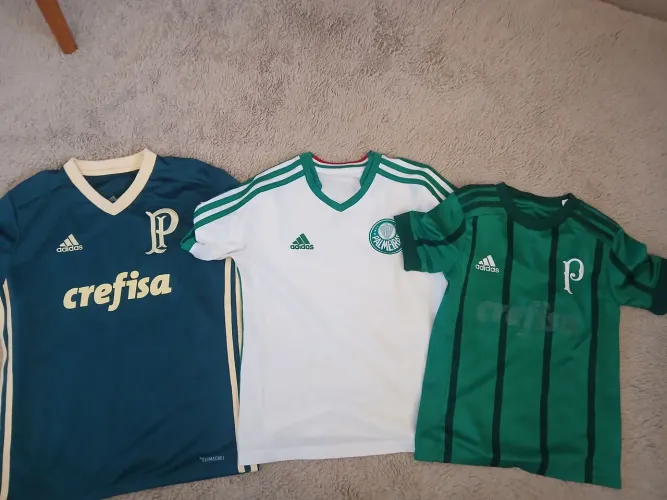 Camisa do Palmeiras 