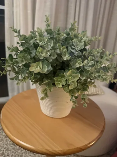 Dois Jarros de barro brancos, com as plantas artificiais lindos
