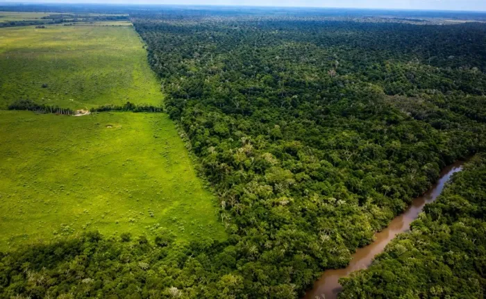 Fazenda à venda, 7548 Hectares - Tailândia/PA