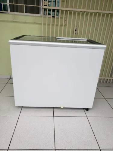 Oferta Freezer Gelopar GHDE 310 Dupla Ação 220 Volts Usado Entrego e Aceito Cartão