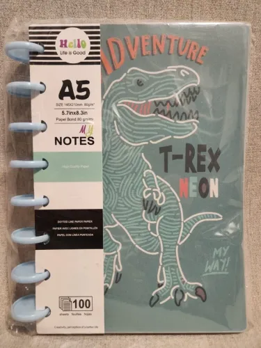 Caderno Inteligente tam A5 (145x210mm) com 100 folhas - capa dinossauro
