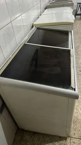 Freezer horizontal