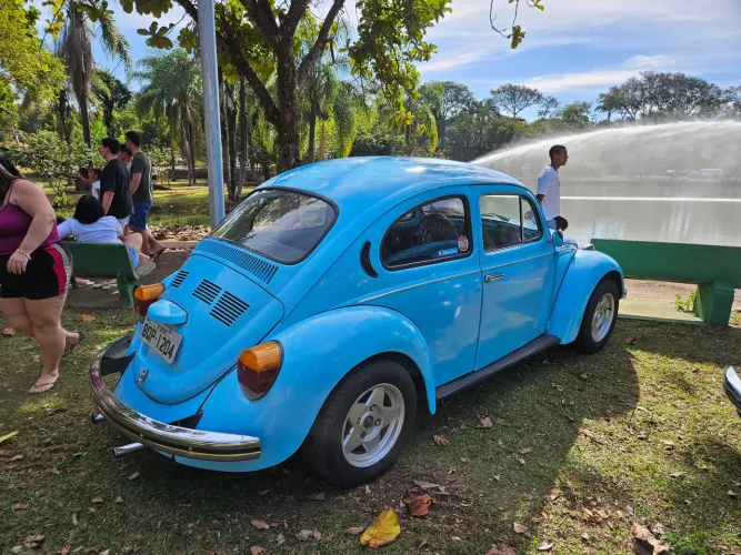 Volkswagen Fusca Fusca (gasolina) 1973