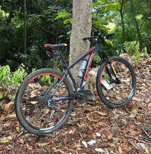 Bicicleta Caloi Aro 29