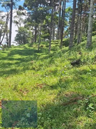 Terreno em Gonçalves-MG com Vista para Cachoeira.