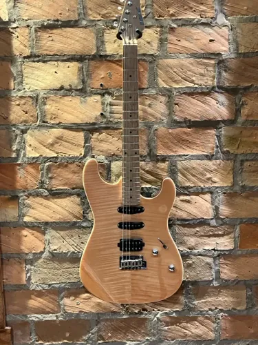 Guitarra Strinberg SGS220 NA