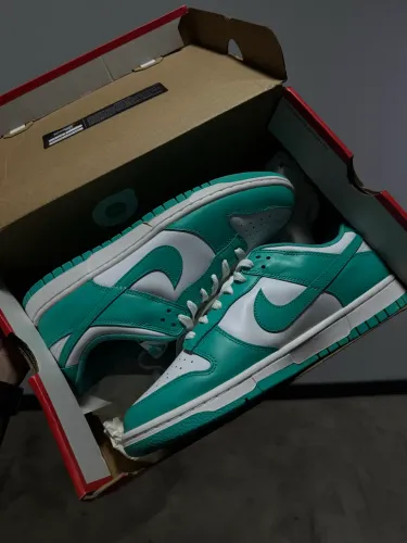 Nike Dunk Low Retro 41 
