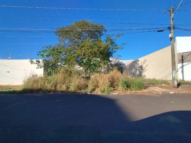 Venda de Terreno / Padrão na cidade de Araraquara