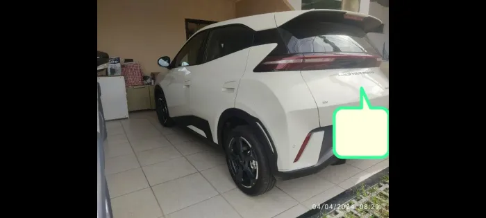 BYD Dolphin Mini (Elétrico) 2024