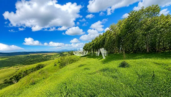 Área à venda, 96800 m² por R$ 640.000,00 - Sapopema - Sapopema/PR