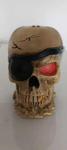 Caveira decoração