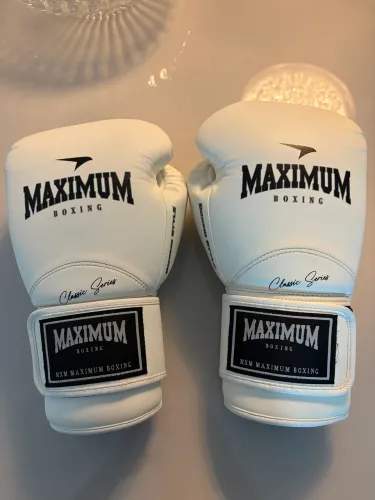Luva de Boxe / Muay Thai / Artes Marciais