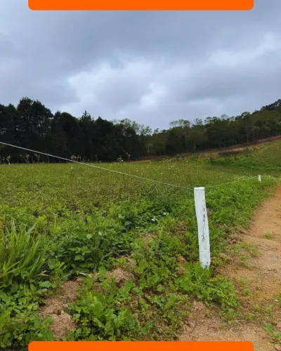 Terreno em Caucaia do Alto barato