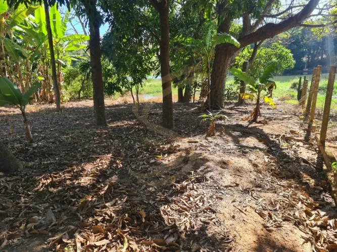 Terreno de 1000 m² com terraplanagem e acesso ao Rio Pardo