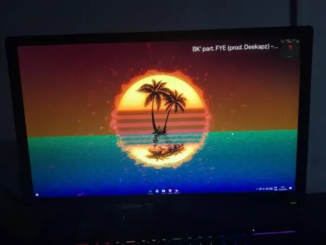 Monitor Gamer 24 Benq XL2411p 1ms 144 Hz (Usado)