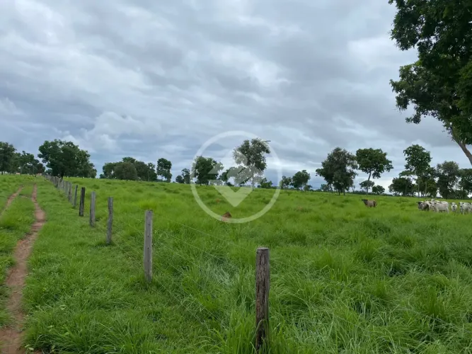 Fazenda à venda município de Cáceres-MT 1.190ha para pecuária à 63km de Cáceres BR 070 R$