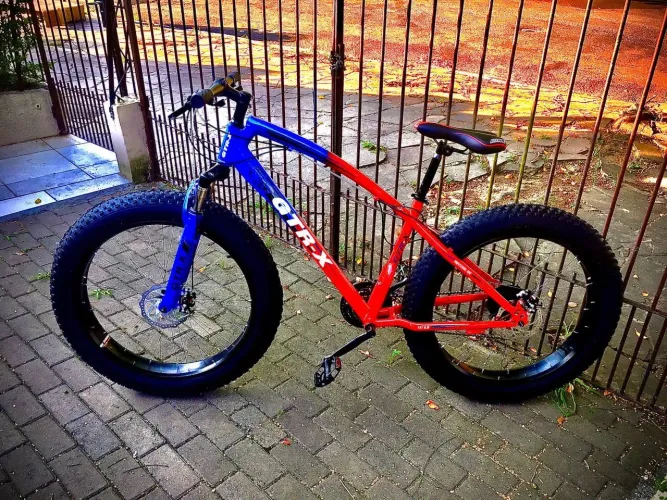 Fat bike
