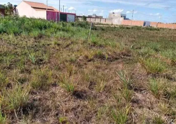 Terreno próx ao trevo do Francês