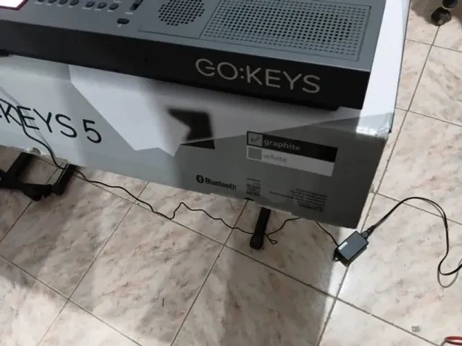 Teclado Roland Go Keys 5 com vocaliste