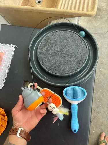 Acessórios para gatos