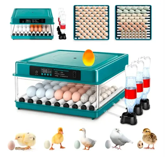 Chocadeira Automática Tanque Água Incubadora Rural 64 Ovos 220v
