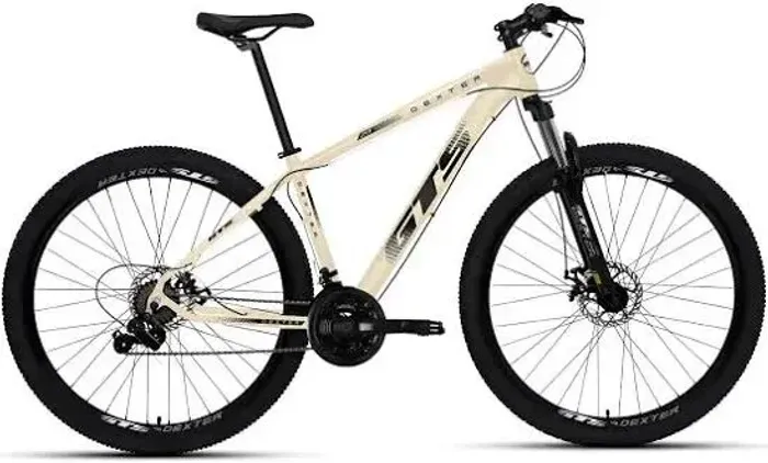 Bike GTS Dexter aro 29 21v
