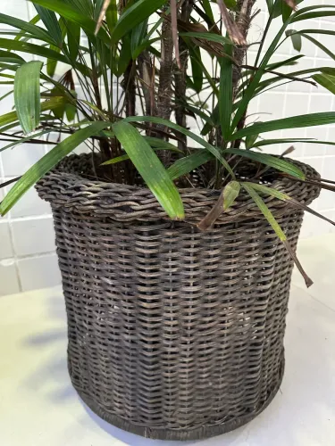 Vaso de Vime Natural com Ráfia 