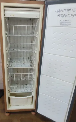 Freezer vertical